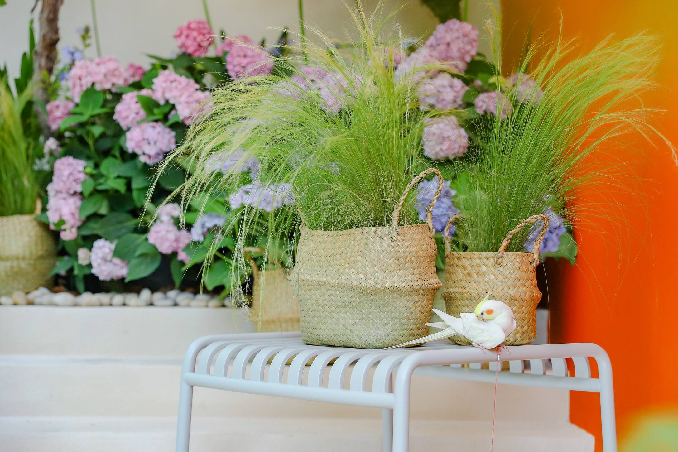 网信快3·(中国游)官方网站